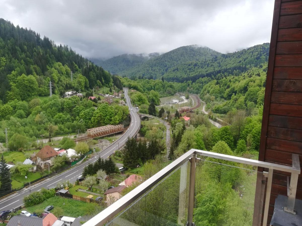 Sinaia Q Marie Apartment Zewnętrze zdjęcie