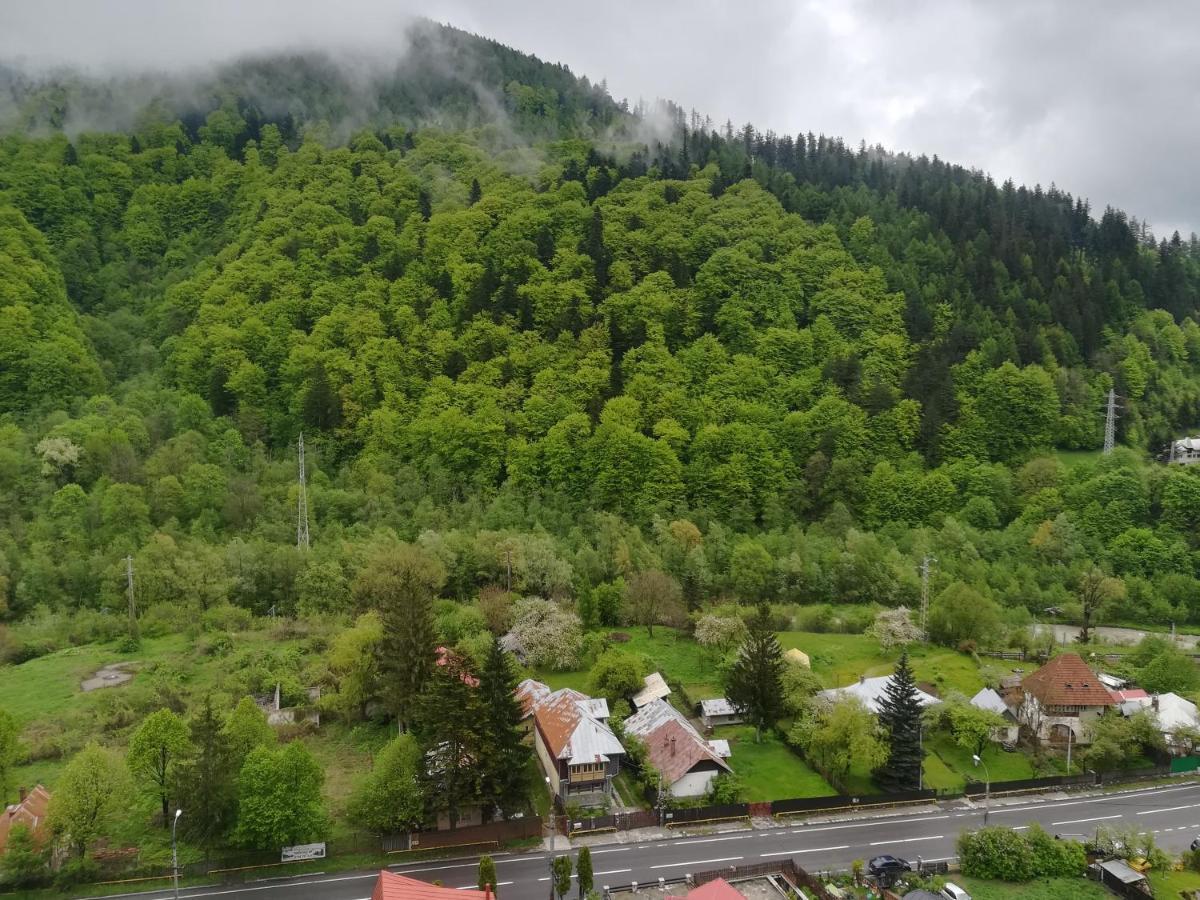 Sinaia Q Marie Apartment Zewnętrze zdjęcie