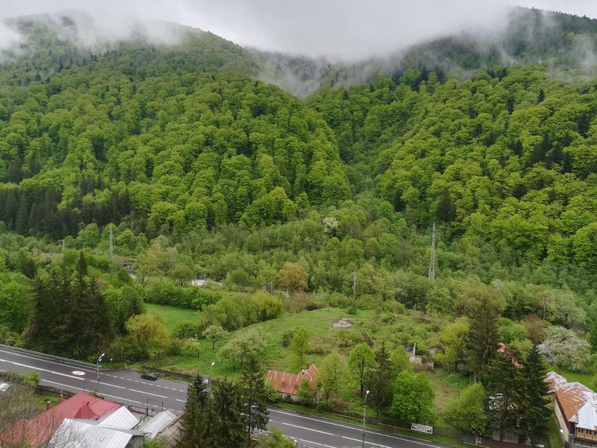 Sinaia Q Marie Apartment Zewnętrze zdjęcie